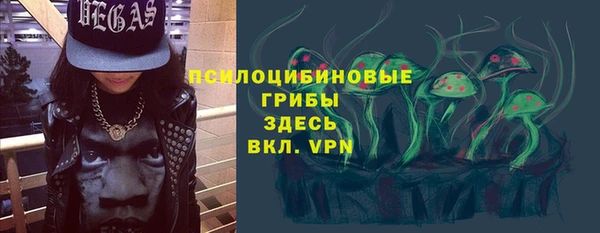 бошки Арсеньев