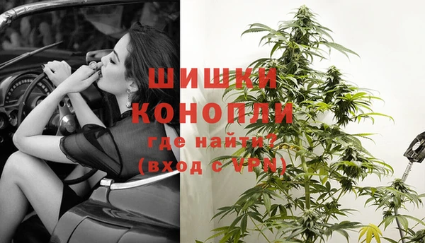 бошки Арсеньев