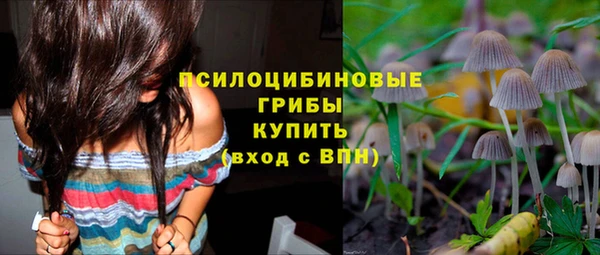 jwh Аркадак