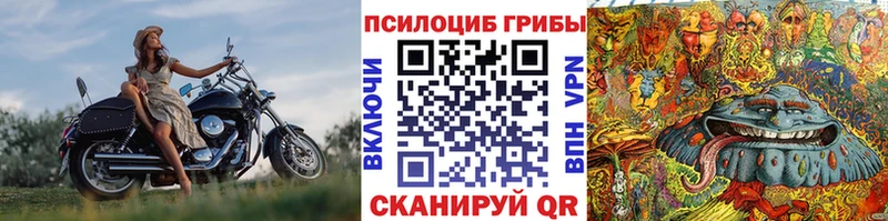 где найти   Находка  omg вход  Галлюциногенные грибы прущие грибы 