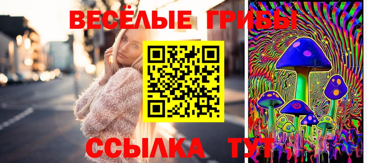 Находка  Галлюциногенные грибы ЛСД  Вход с VPN 